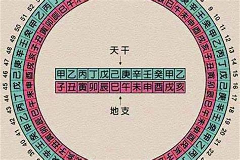 八字地支